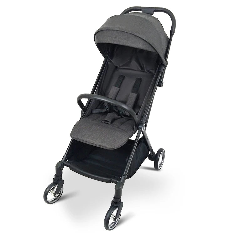 Top Sale Brand 2-in-1 Reversible Iron Frame Wagon Stroller One-Hand Foldable Canopy By Baby Carriage