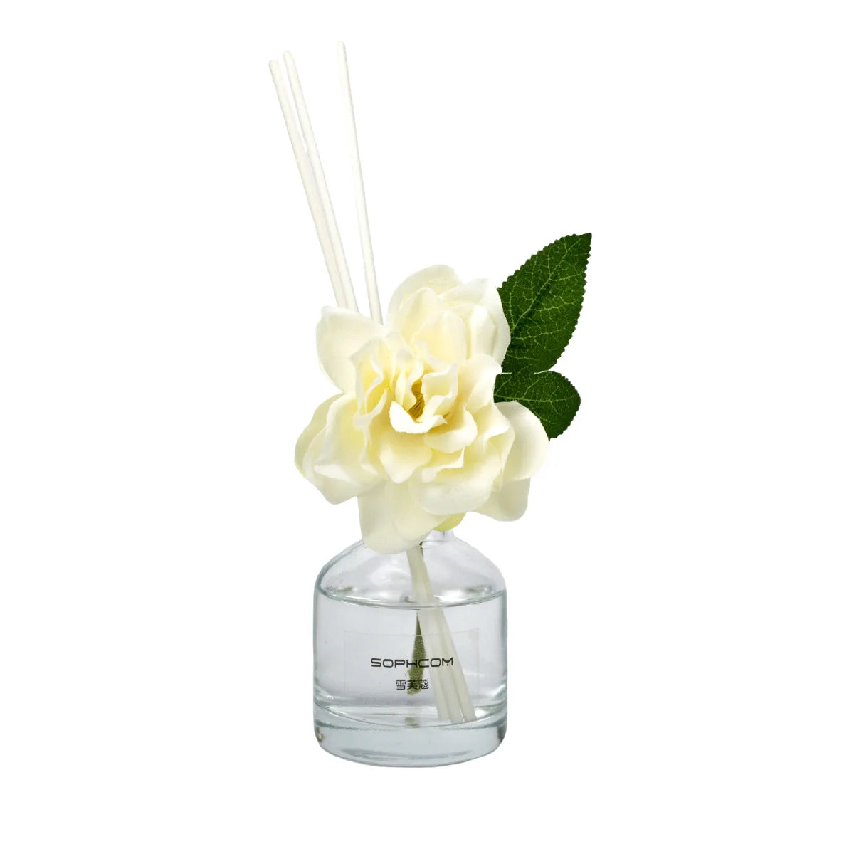 Customized Reed Diffuser Set Long-Lasting Fragrance Eco-Friendly Alcohol-Free Fresh Scent Decorative Dried Flowers Plant