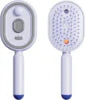 Type-C Smart Steam Hair 120min Charging Professional Spray Comb Anti Frizz Cordless Professional Self-Cleaning Hair Brush