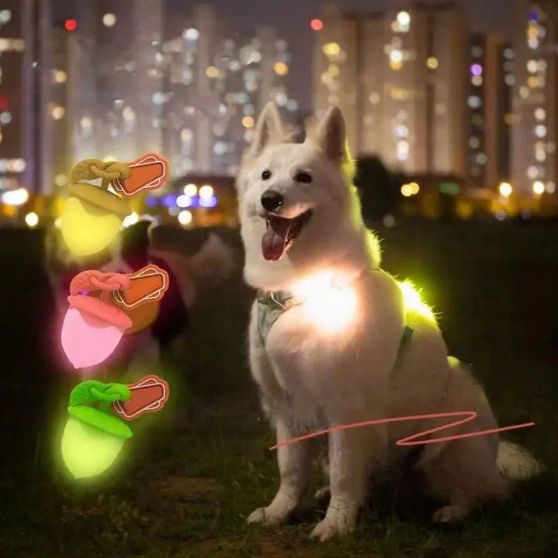Dog Night Light 3 Flashlight Dog Cat Collar Glowing Pendant Night Safety Pet Leads Necklace Luminoues Bright Decoration Collars