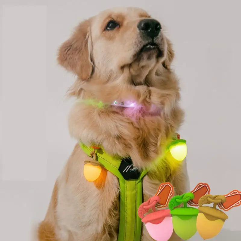 Dog Night Light 3 Flashlight Dog Cat Collar Glowing Pendant Night Safety Pet Leads Necklace Luminoues Bright Decoration Collars