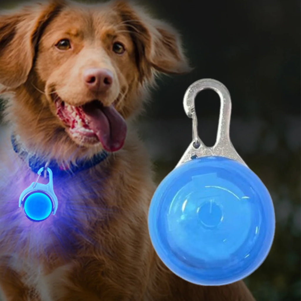 Dogs Lights for Night Walking Dogs Cats Collars Use LED Night Safety Light Adjustable Durable for Small Medium Large Dogs