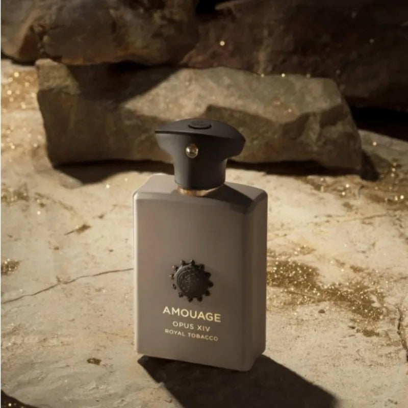 Men’s Woody Perfume Collection with Spicy Floral and Woody Notes for Daily Wear Romantic Evenings and Long Lasting Confidence