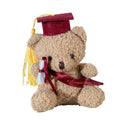 Plush Toy Stuffed Bear Graduate Student Souvenir Graduation Gift Bachelors Hat Graduation Hat Gift for Schools